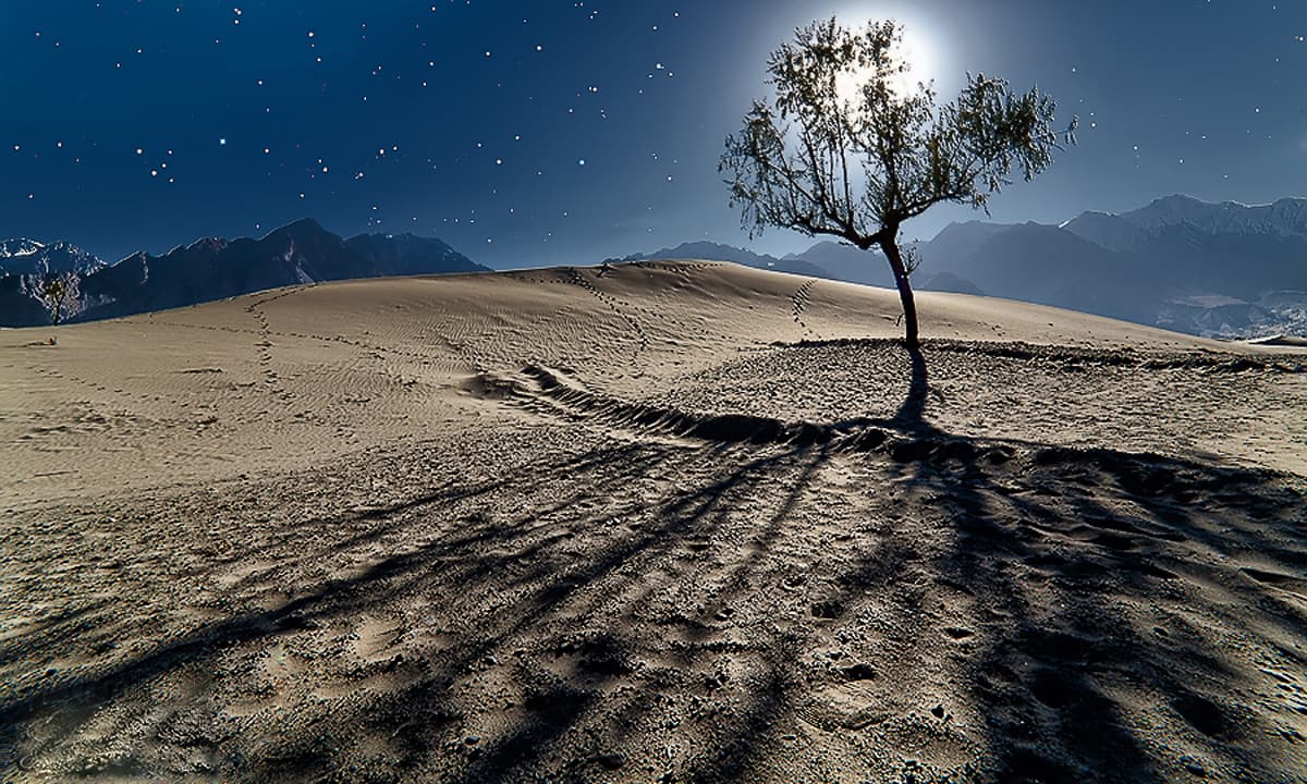 Katpana sand dunes at night