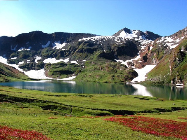 Lush-green-valley-with-blooming-flowers-640x480