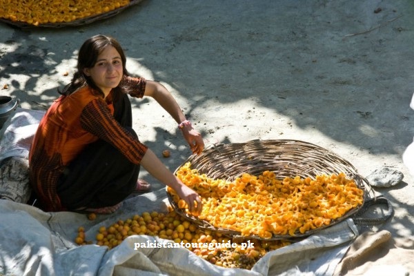 hunza-work