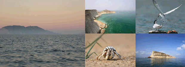 Astola Island Balochistan